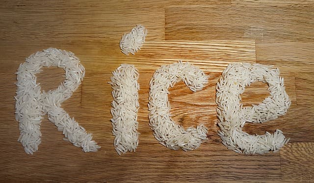 ご飯粒　Rice